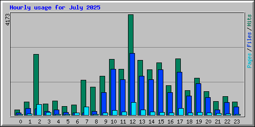 Hourly usage for July 2025