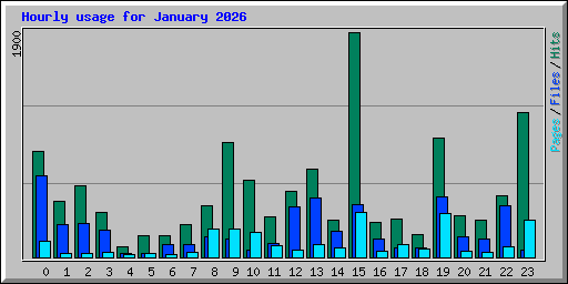 Hourly usage for January 2026